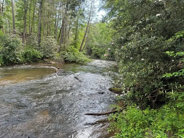 Lot 61 White Pine Trail, Suches, GA 30572