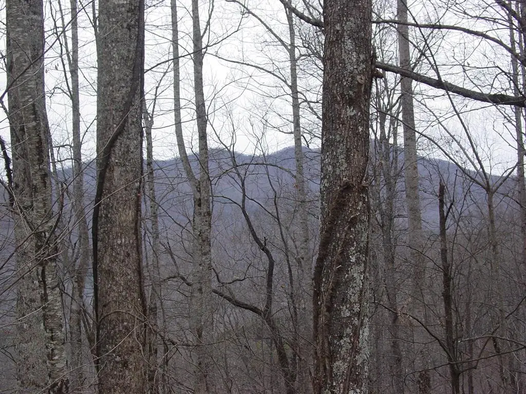 #17 Roaring Ridge, Hiawassee, GA 30546 - #1