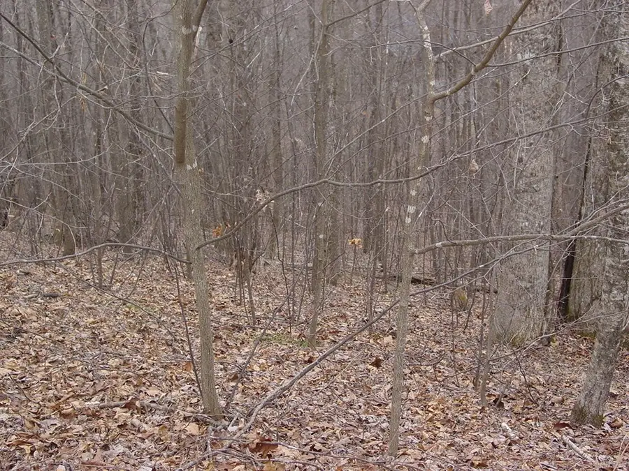 #17 Roaring Ridge, Hiawassee, GA 30546 - #2