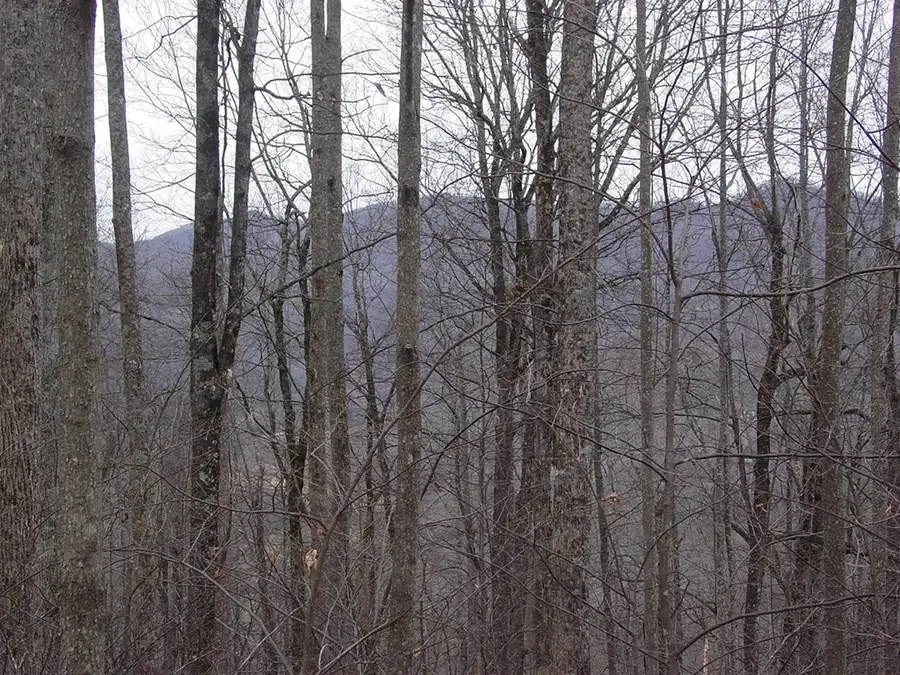 #17 Roaring Ridge, Hiawassee, GA 30546 - #3