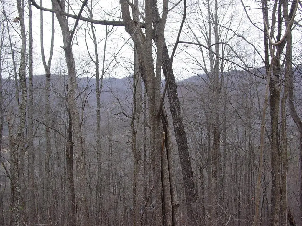 #16 Roaring Ridge, Hiawassee, GA 30546 - #1