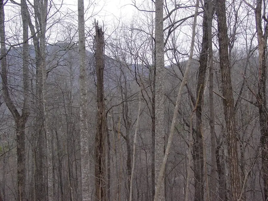 #16 Roaring Ridge, Hiawassee, GA 30546 - #2