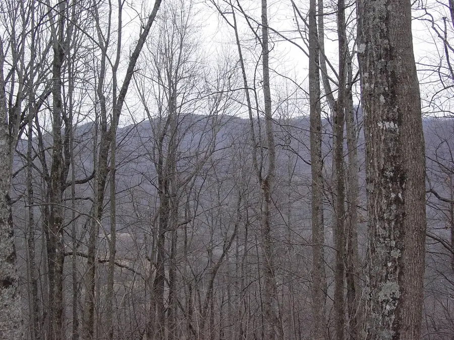 #16 Roaring Ridge, Hiawassee, GA 30546 - #3