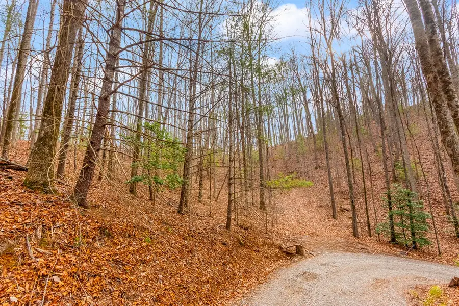 3.45 ac Guy Eller Road, Shoal Creek, NC 28006 - Image #2
