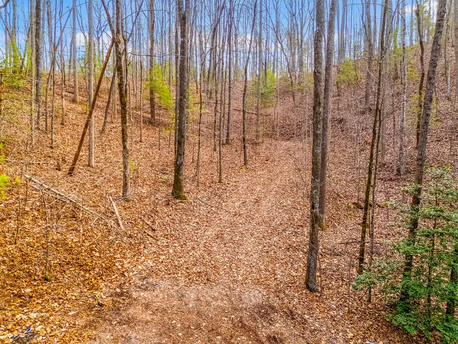 3.45 ac Guy Eller Road, Shoal Creek, NC 28006 - Image #3