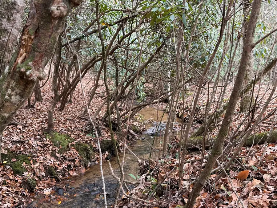 691 Mitchell Branch Road, Morganton, GA 30560 - Image #3