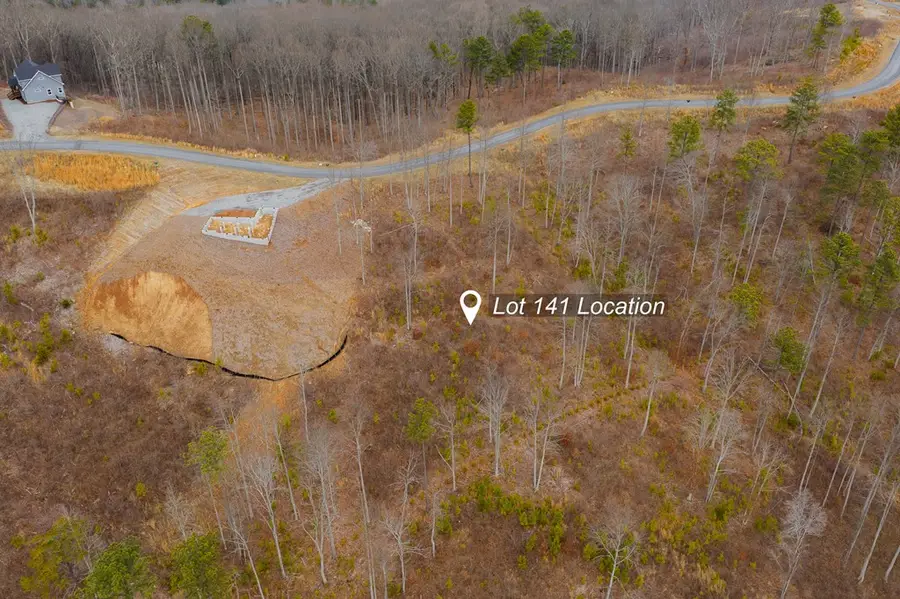 Lot 141 Twisted Oak Road, Talking Rock, GA 30175 - #2