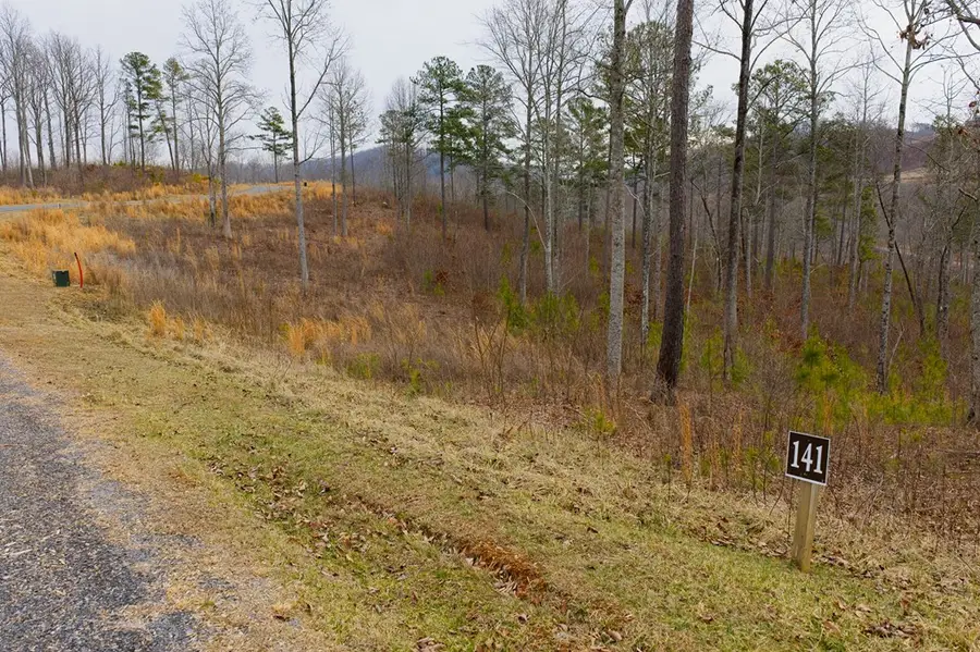 Lot 141 Twisted Oak Road, Talking Rock, GA 30175 - #3