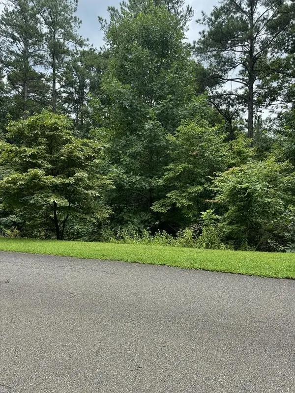 LOT 5 Harris Creek Drive, Ellijay, GA 30540