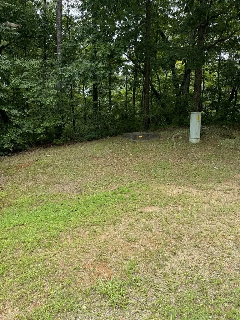 LOT 5 Harris Creek Drive, Ellijay, GA 30540 - Image #2
