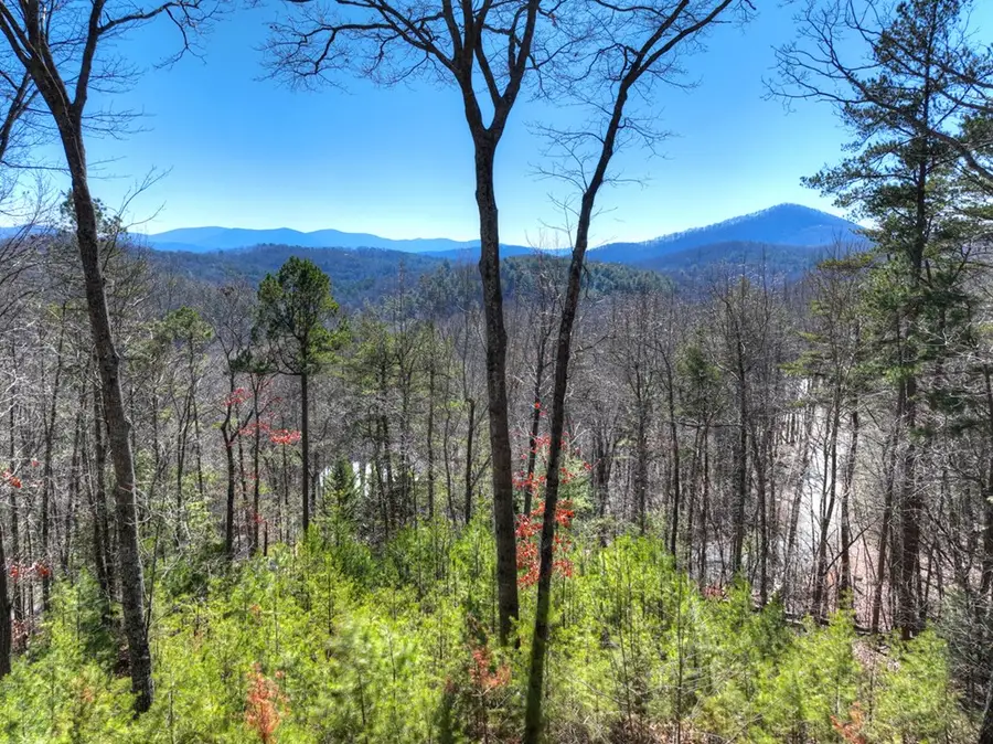 78 Brass Hill Road, Blue Ridge, GA 30513 - Image #2
