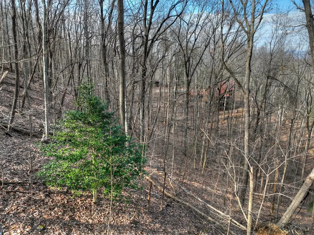 LTS 159+ Hickory Trace, Ellijay, GA 30536 - Image #1