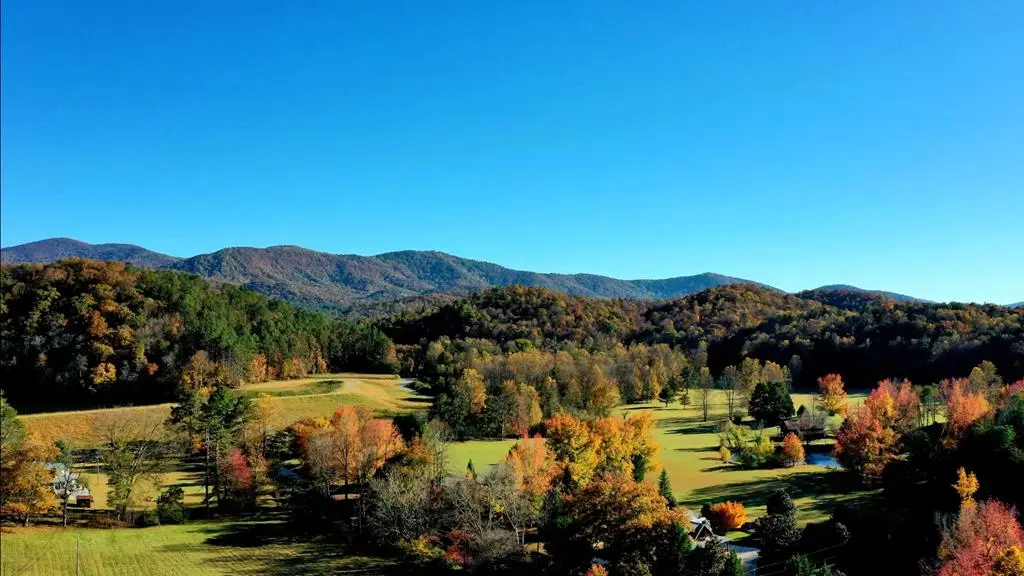 Lot 4 Gold Ridge Trail, Cherry Log, GA 30522 - Image #1