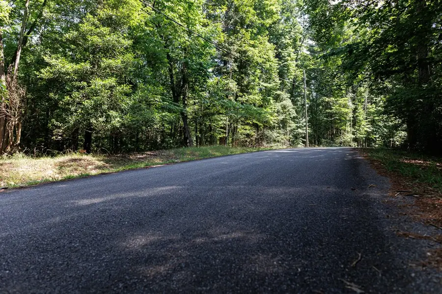 Lot 269 Seneca Drive, Ellijay, GA 30540 - #3