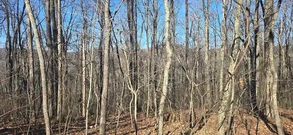 00001 Big Oak Drive, Jasper, GA 30143