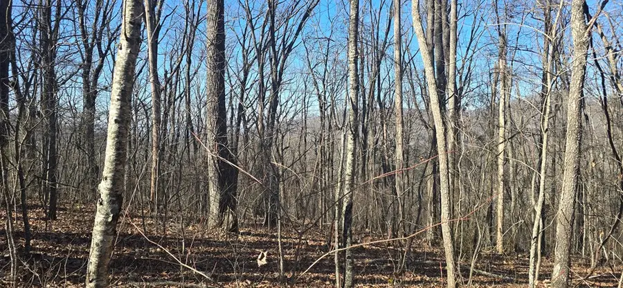 00001 Big Oak Drive, Jasper, GA 30143 - #2