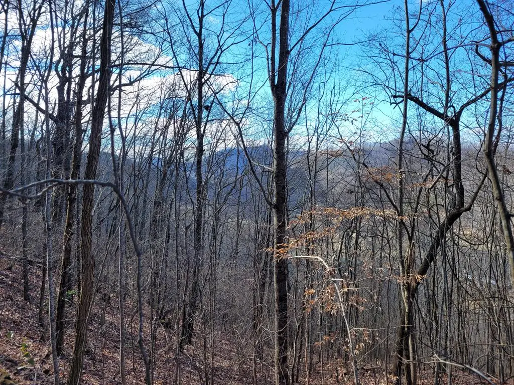 69 Colt Run, Hayesville, NC 28904 - #1