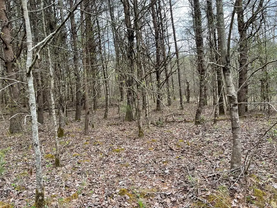 00 Laurel Branch Road, Shooting Creek, NC 28906 - #2