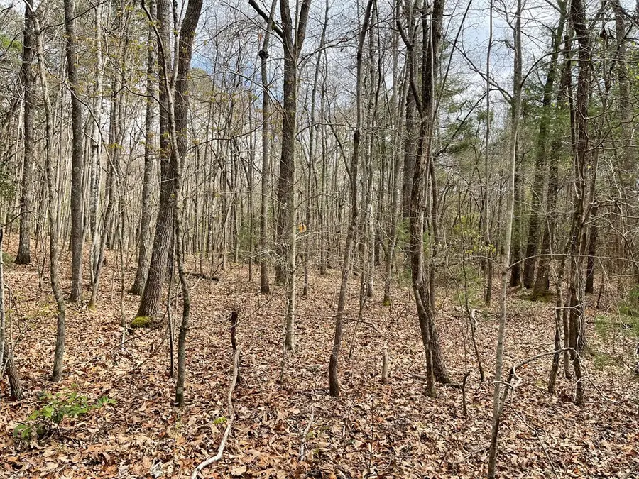 00 Laurel Branch Road, Shooting Creek, NC 28906 - #3