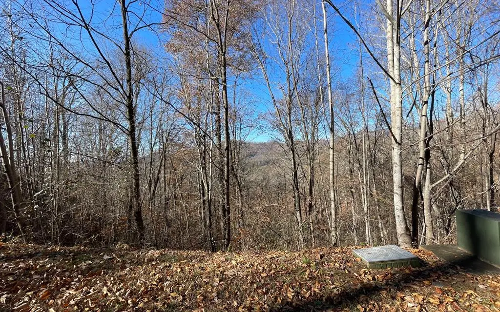 Lot 36M Mountain Harbour Drive, Hayesville, NC 28904 - #1