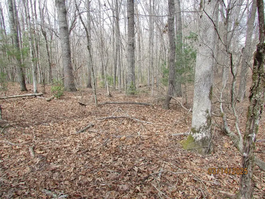 16.5 ac. Phillips Road, Young Harris, GA 30582 - #3