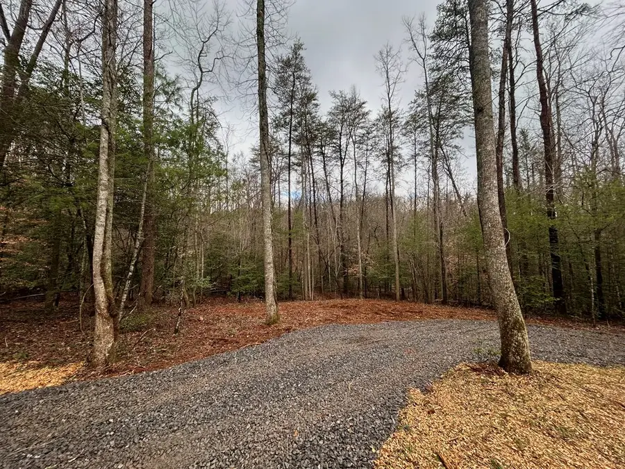 00 Grace Drive, Blue Ridge, GA 30513 - Image #2