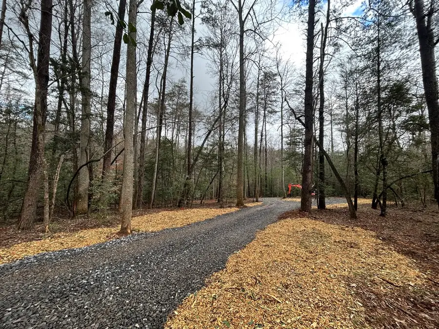 00 Grace Drive, Blue Ridge, GA 30513 - Image #3