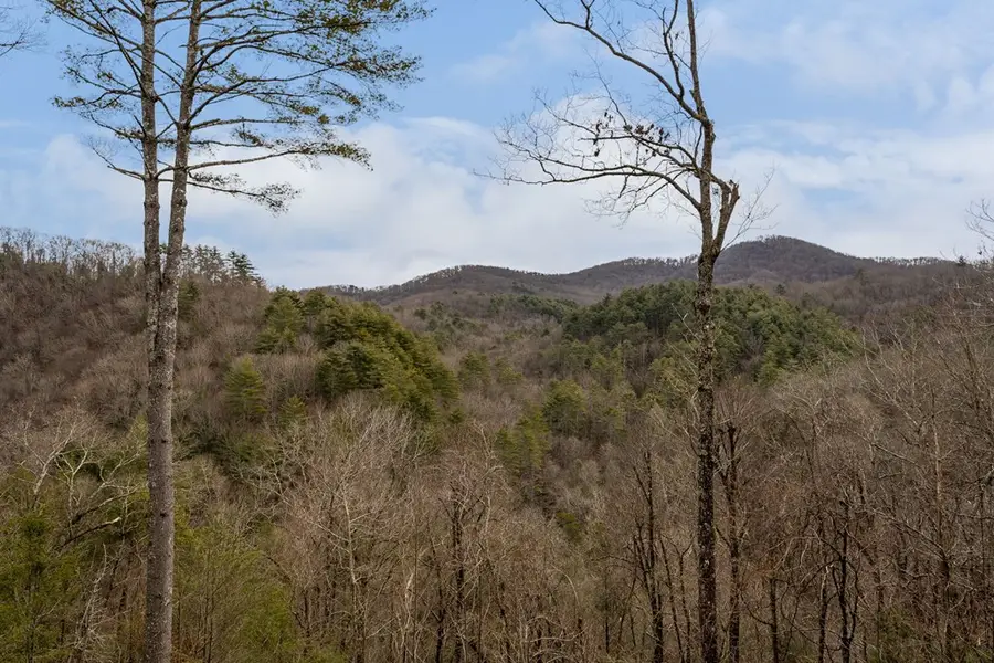197 Cashes Valley Overlook, Cherry Log, GA 30522 - Image #2
