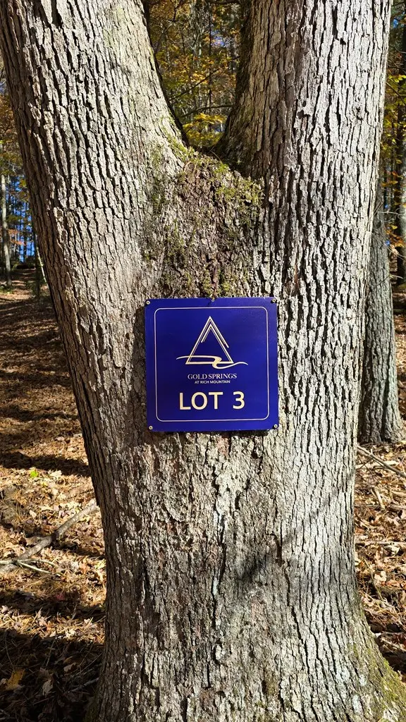 Lot 3 Gold Ridge Trail, Cherry Log, GA 30522 - Image #2