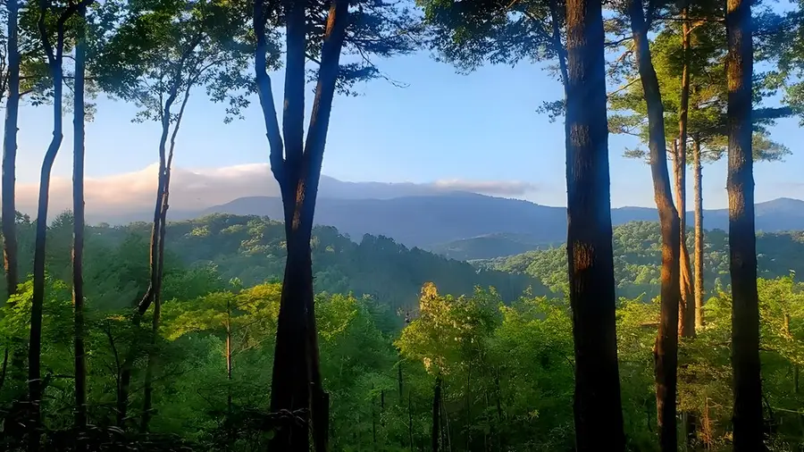 Lot 3 Gold Ridge Trail, Cherry Log, GA 30522 - Image #3