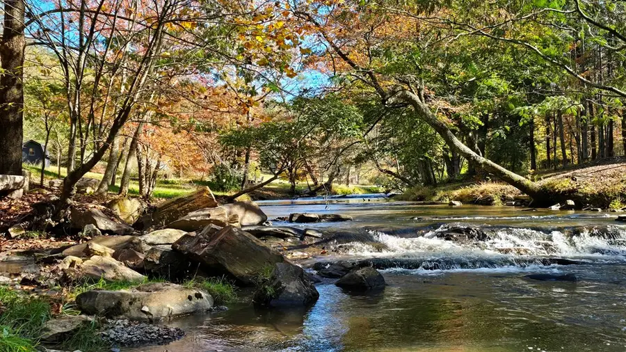 Lot 5 Gold Ridge Trail, Cherry Log, GA 30522 - Image #3