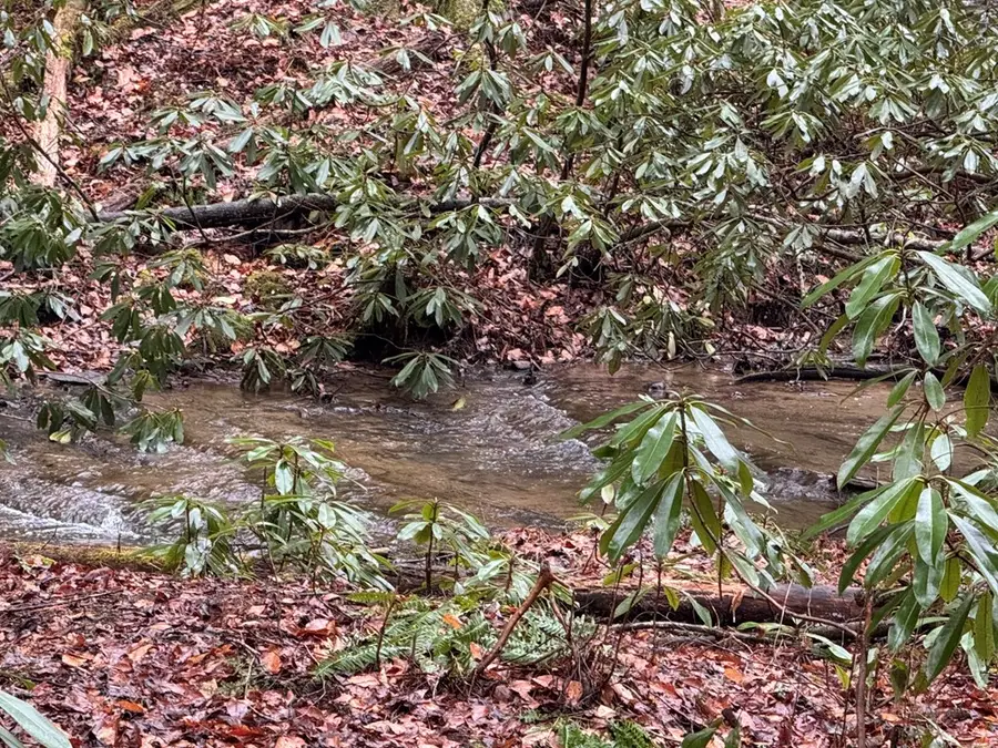 846 Joann Sisson Road, Ellijay, GA 30540 - Image #2