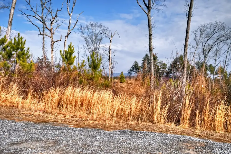 28 Mountaintown Overlook, Ellijay, GA 30540 - Image #2