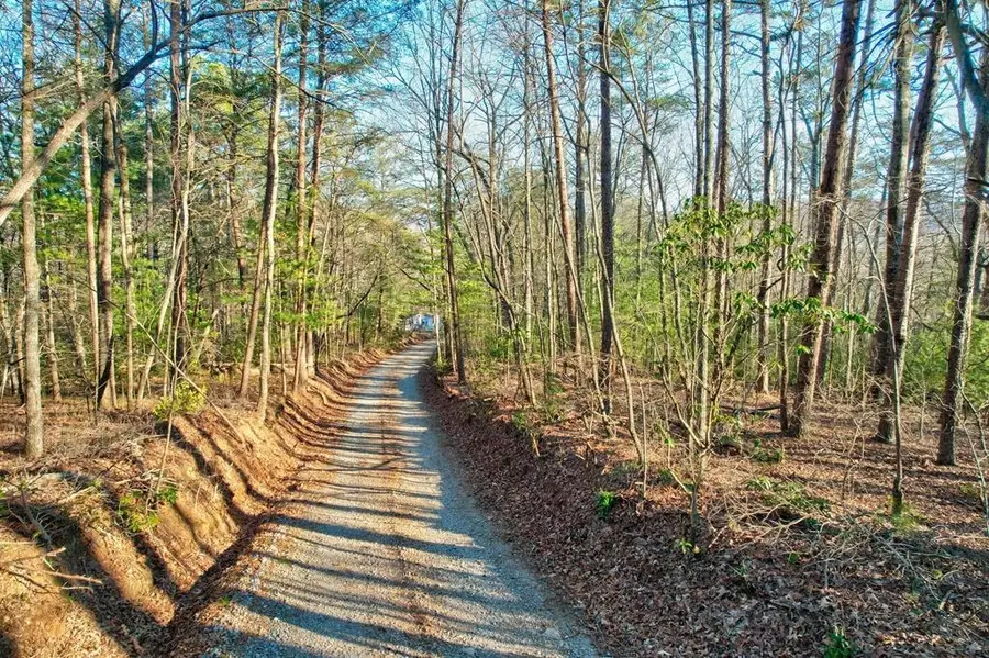 17.67 AC Mt. Mcgruder Road, Ellijay, GA 30536 - Image #3