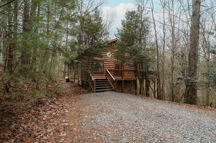 1165 Little Bushy Head Road, Blue Ridge, GA 30513 - Image #2
