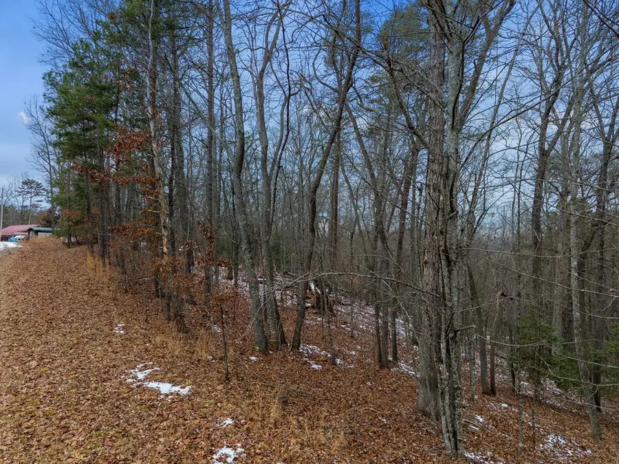 TR4 Curtis Ridge Road, Blue Ridge, GA 30513 - Image #3