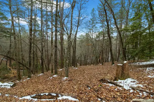 Lot 5 Curtis Ridge Road, Blue Ridge, GA 30513
