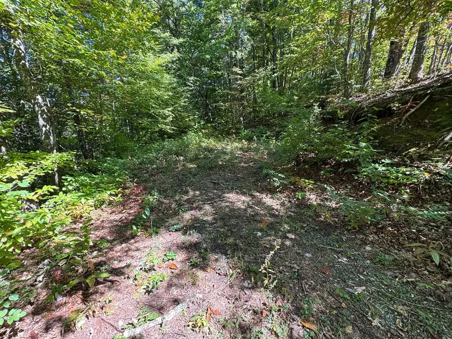 #1-3 Burnt Leaf Lane, Hayesville, NC 28904 - Image #3