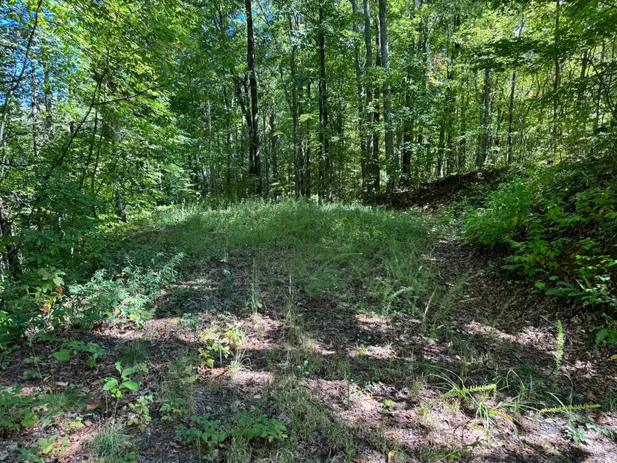 #2-3 Burnt Leaf Lane, Hayesville, NC 28904 - Image #2