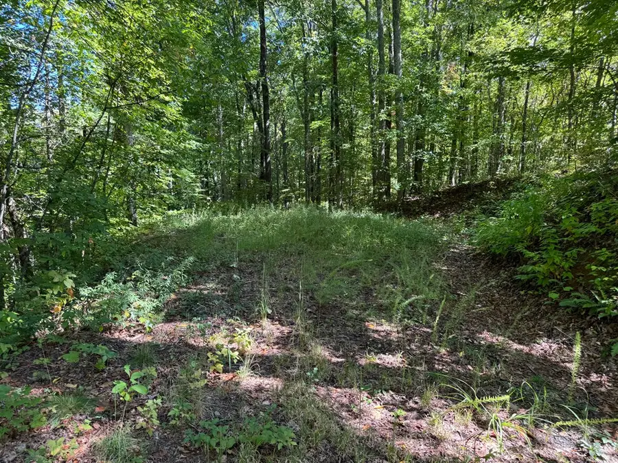 #2-3 Burnt Leaf Lane, Hayesville, NC 28904 - Image #3