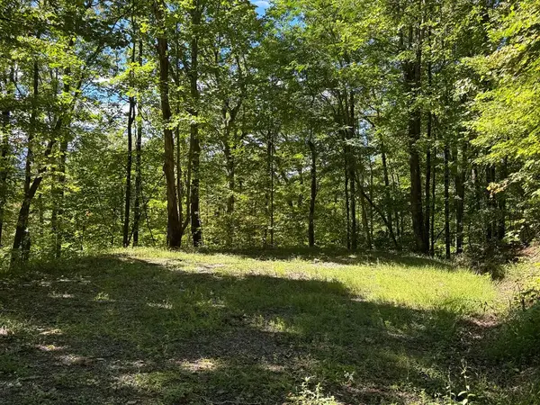 #8-2 Tree Top Drive, Hayesville, NC 28904