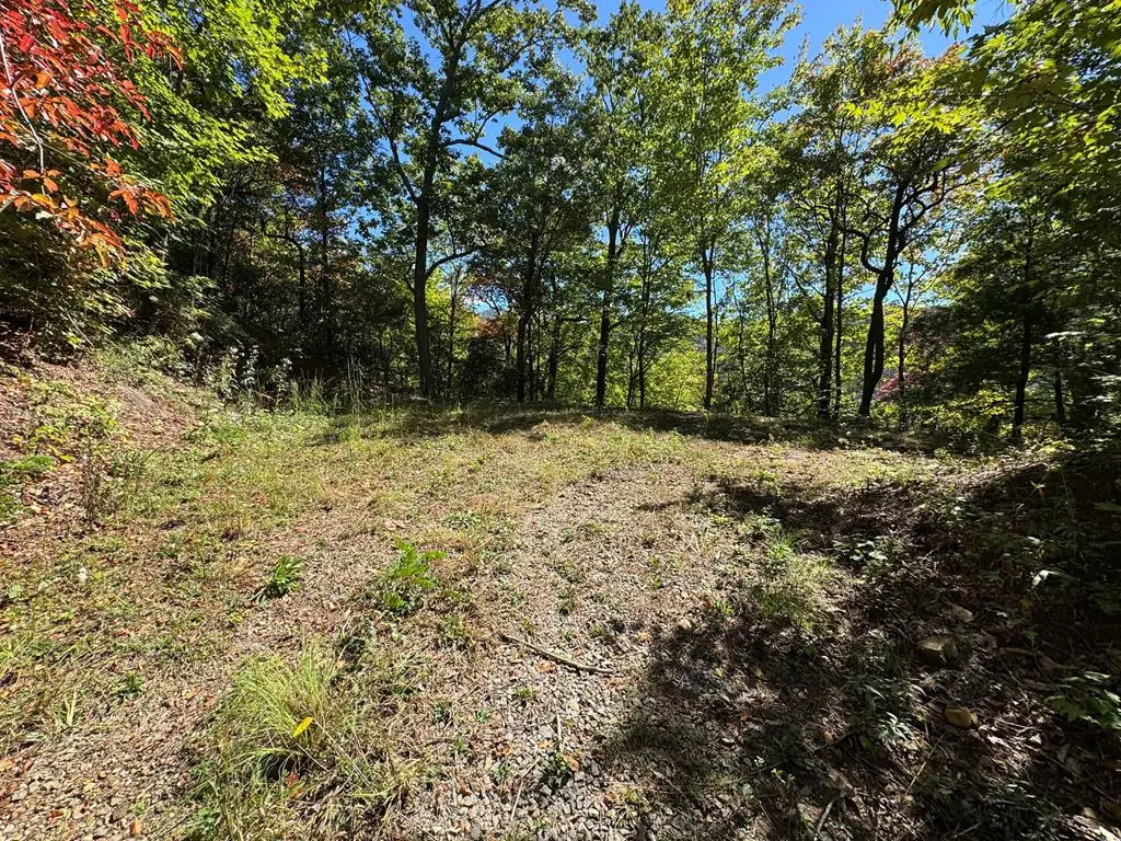 #9-2 Tree Top Drive, Hayesville, NC 28904 - Image #1