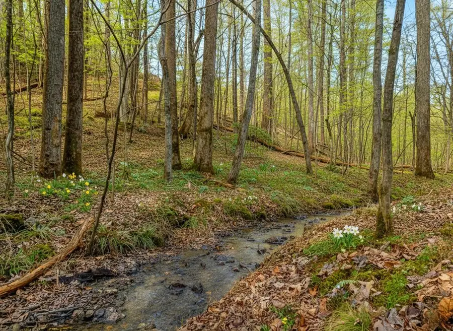LT 10R Whispering Oaks Drive, Ellijay, GA 30540 - Image #3
