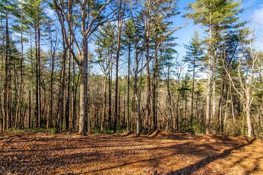 LT 11 Whispering Oaks Drive, Ellijay, GA 30536 - Image #3