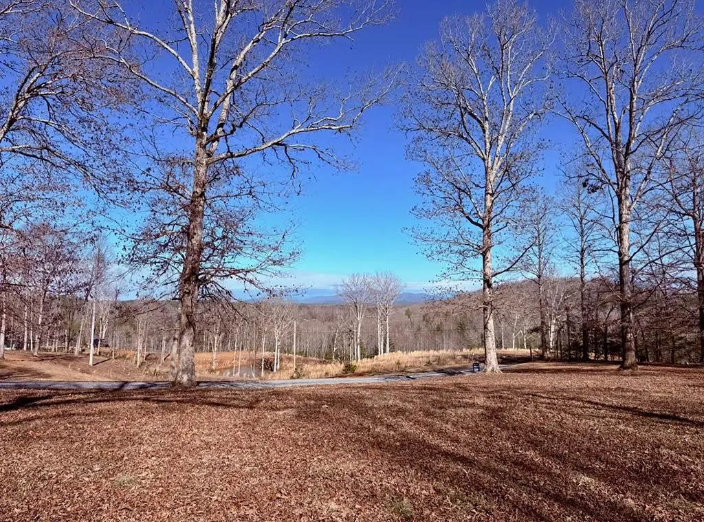 C4 Briar Woods Lane, Blue Ridge, GA 30513 - Image #1