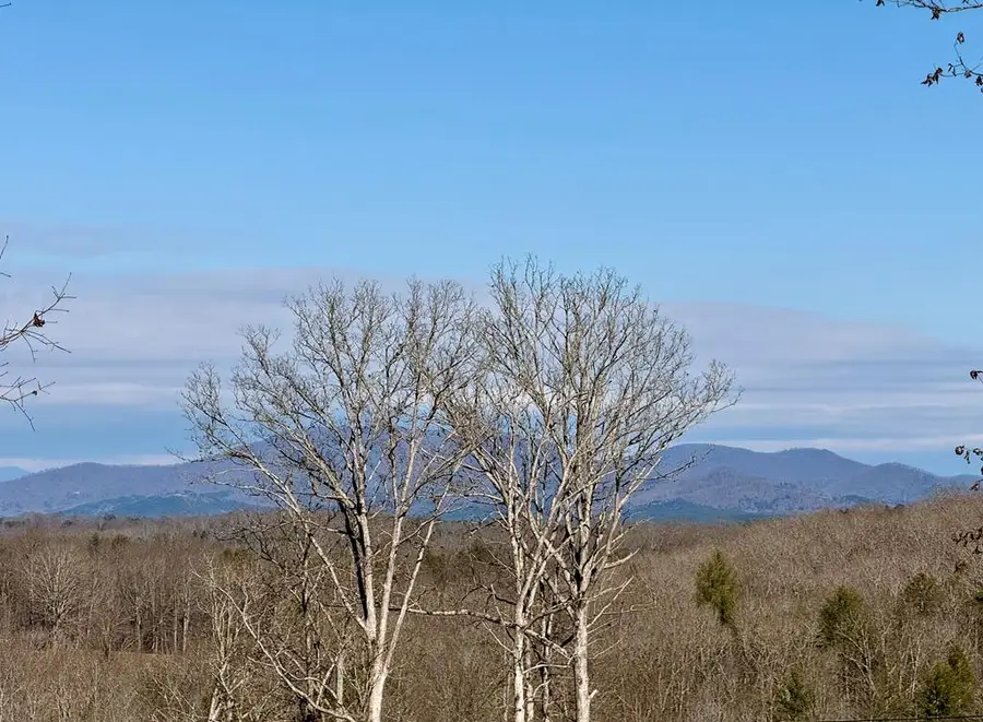 C4 Briar Woods Lane, Blue Ridge, GA 30513 - Image #2