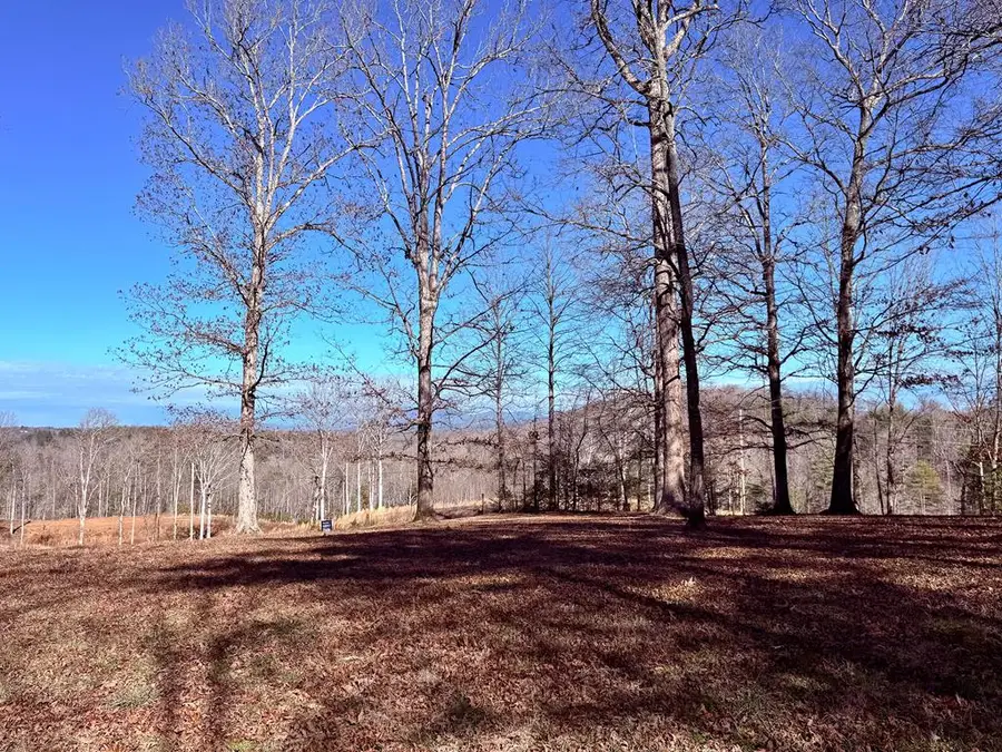 C4 Briar Woods Lane, Blue Ridge, GA 30513 - Image #3