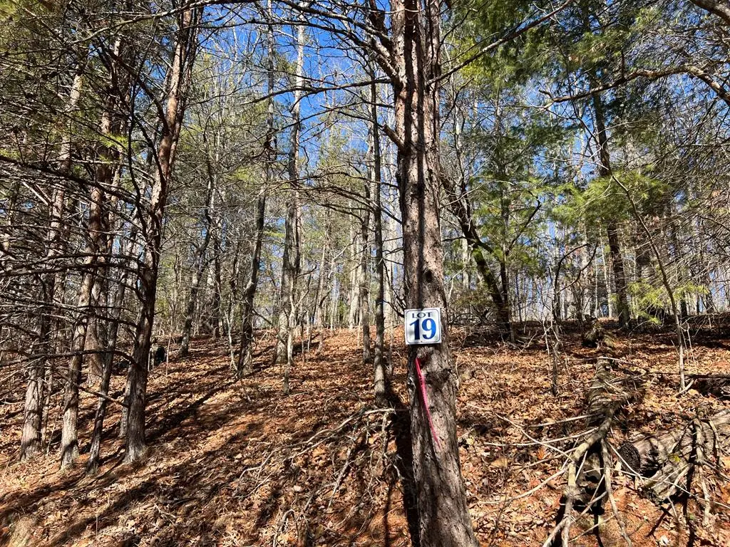 Lot 19 Mission Ridge, Hayesville, NC 28904 - #1