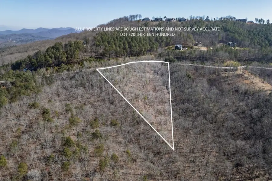 Lot 370 Thirteen Hundred, Blairsville, GA 30512 - Image #2