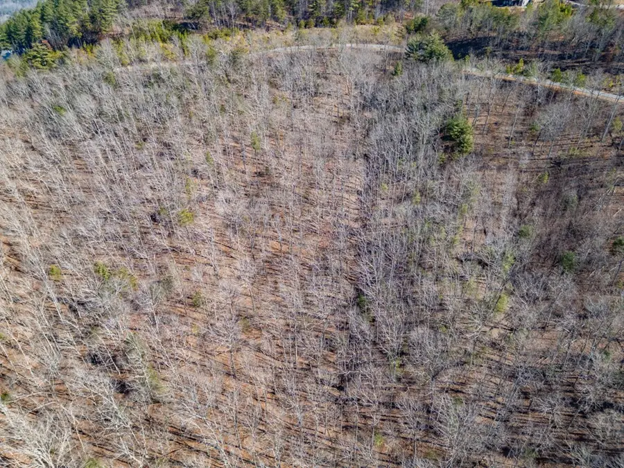 Lot 370 Thirteen Hundred, Blairsville, GA 30512 - Image #3